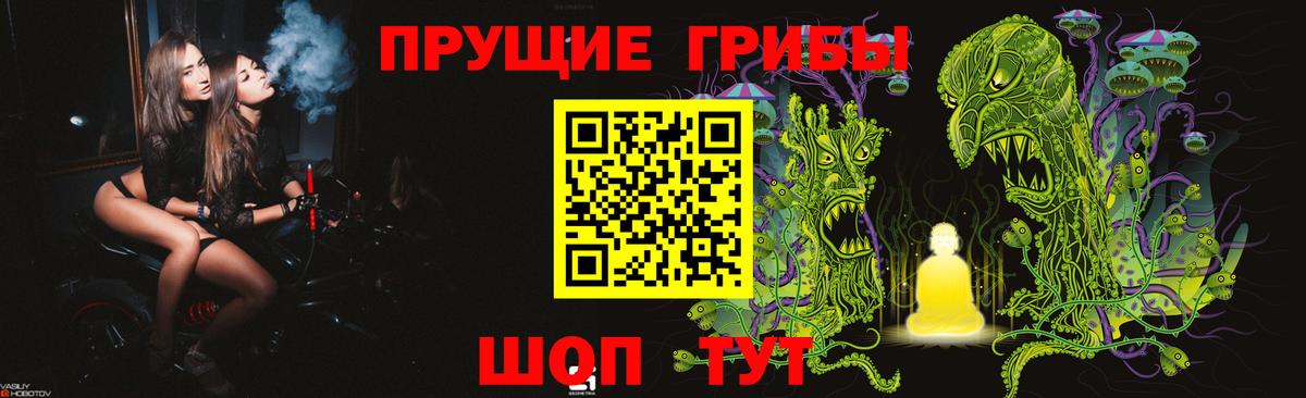 Галлюциногенные грибы Psilocybine cubensis Камышлов