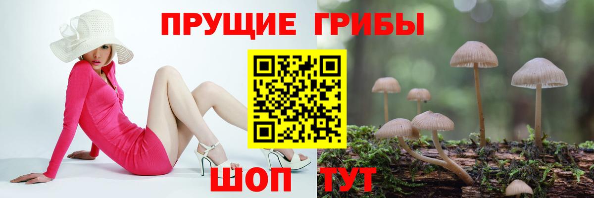 Галлюциногенные грибы ЛСД  Вход с VPN  Камышлов 
